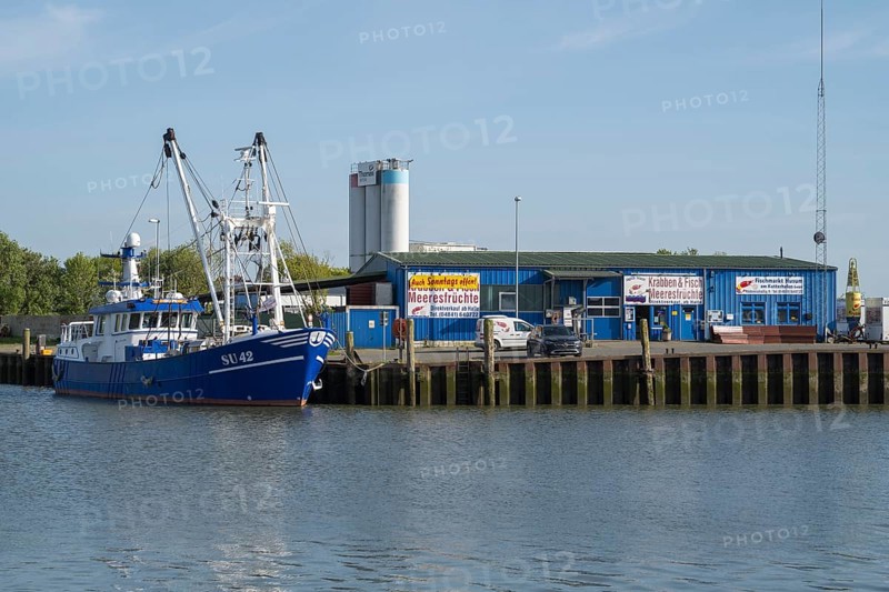 Fishing boats in the cutter harbour, fish market, outer harbour, Husum, North Frisia, North Sea, Schleswig-Holstein, Germany