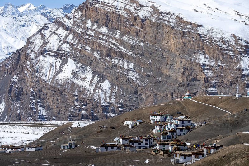 Langza, with snow-capped mountains in the background, Himalayas, Spitital, Kaza, Himachal Pradesh, India