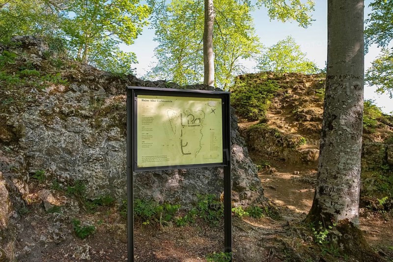 Ruin Alter Lichtenstein near Lichtenstein Castle, information board, site plan of the ruin, layout, eaves of the Swabian Alb, trees, deciduous forest, Honau, municipality of Lichtenstein, Baden-Württemberg, Germany
