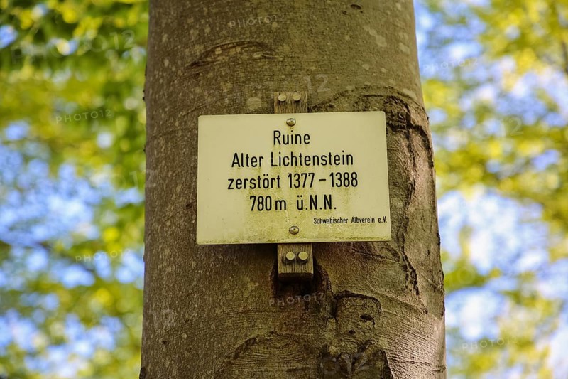 Sign, information board, Alter Lichtenstein ruins near Lichtenstein Castle, eaves of the Swabian Alb, tree, deciduous forest, Honau, municipality of Lichtenstein, Baden-Württemberg, Germany