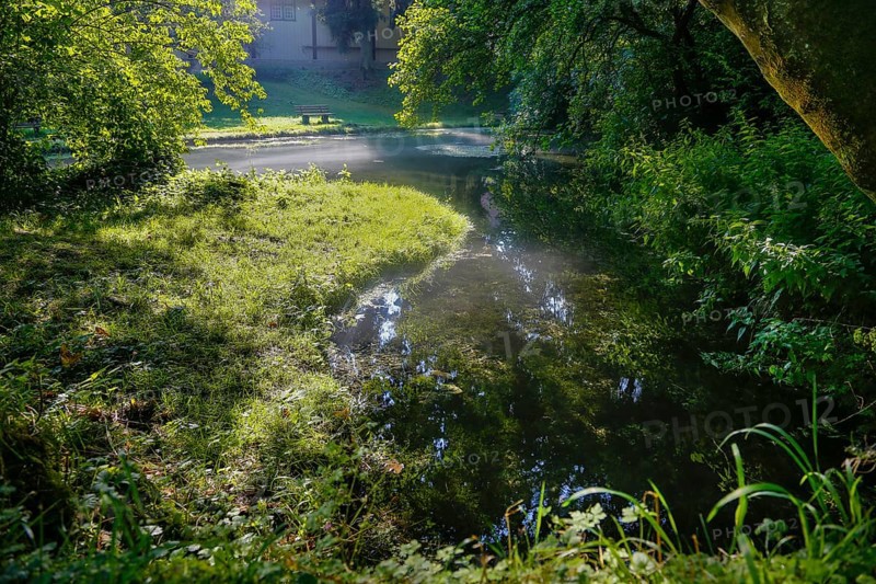 Lauter spring, Große Lauter, karst spring pot, water, park, idyll, meadow, lawn trees, backlight, Offenhausen, municipality of Gomadingen, Swabian Alb, Baden-Württemberg, Germany