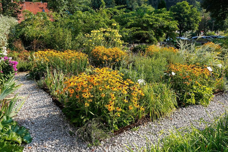 Herb garden near the stud farm museum and the Lauterquelle spring, various plants, perennials, Offenhausen, municipality of Gomadingen, Swabian Alb, Baden-Württemberg, Germany