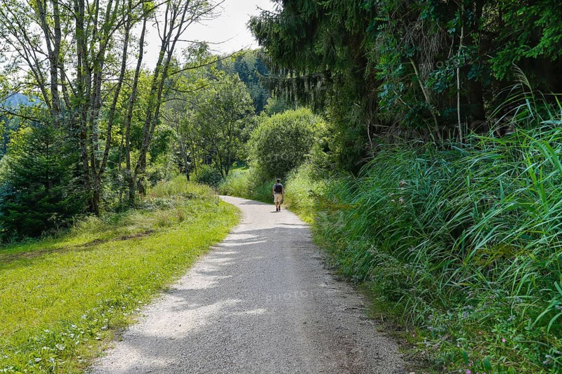 Hiking, man with rucksack, field path from Junginger Gieß, gravel path, trees, reeds, nature, Jungingen im Killertal, Zollernalb, Swabian Alb, Zollernalbkreis, Baden-Württemberg, Germany