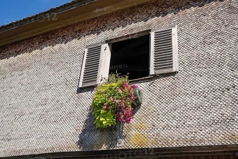 Façade covered with wooden shingles with floral decorations under the window, close-up of the historic wooden bridge over the Rhine connecting the German municipality of Gailingen and the Swiss municipality of Diessenhofen, Canton Thurgau, Switzerland