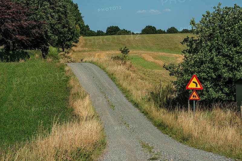 Curvy small gravel road with road sign in Ystad municipality, Skåne county, Sweden, Scandinavia