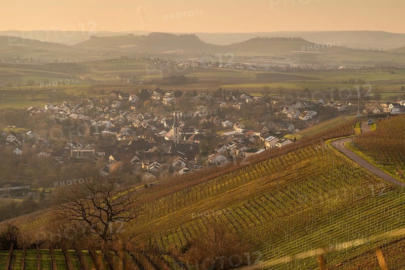 Vineyards and the village of Michelbach in autumn, Hohenlohe, Baden-Württemberg, Germany