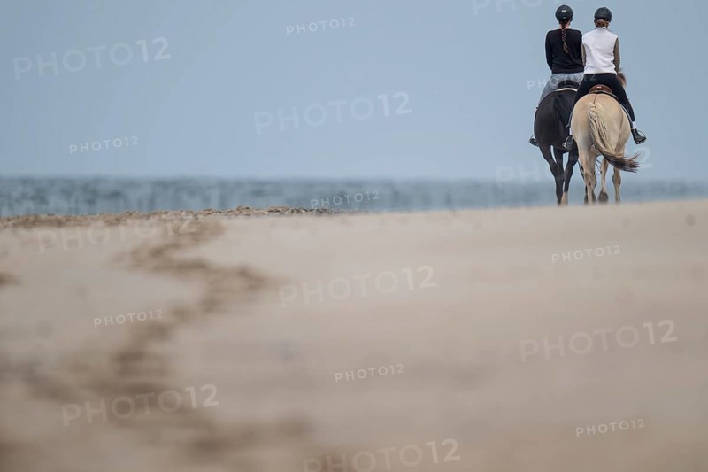 Two riders on the beach, near Hvide Sande, North Sea, Denmark