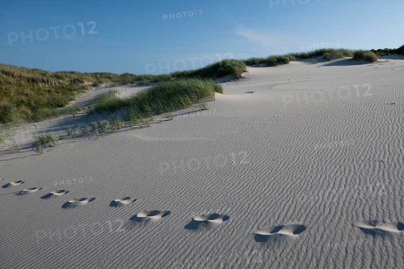 Sandy dune landscape, beach grass, footprints, blue sky, Hvide Sande, North Sea, Denmark
