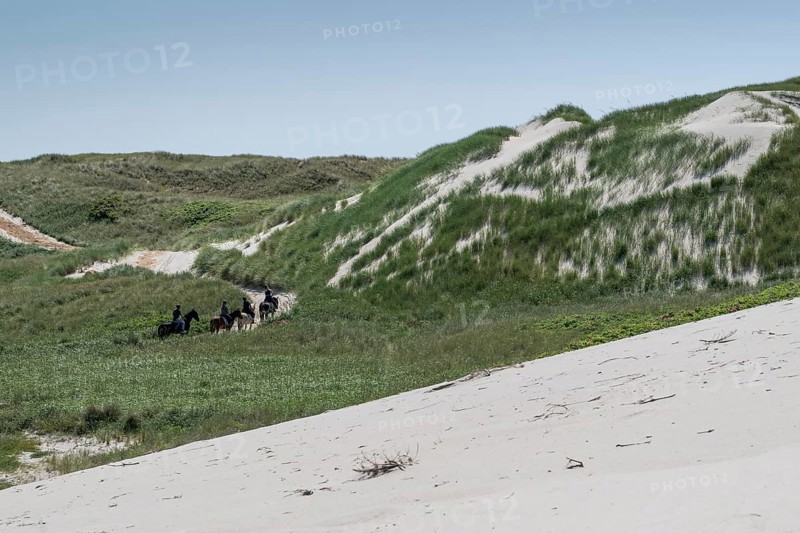 Grassy dunes and path with riders on horses in a wide dune landscape, Ringkøbing Fjord, North Sea, Denmark