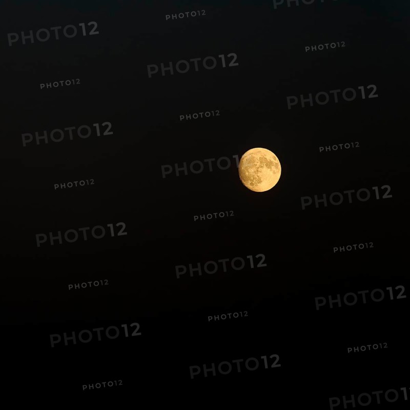 Waxing moon in the night sky, two days in front of full moon, detachable, Camargue, France