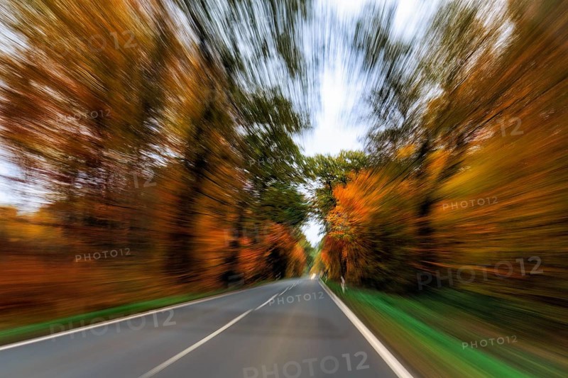 Country road through autumn forest, autumn leaves, oncoming traffic, cloudy weather, zoom effect, motion blur, Solling-Vogler nature park Park, Lower Saxony, Germany