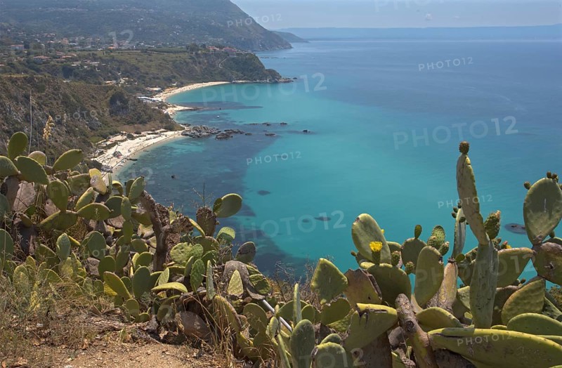 Extensive coastal landscape with cacti and turquoise blue sea, Ricadi, Capo Vaticano