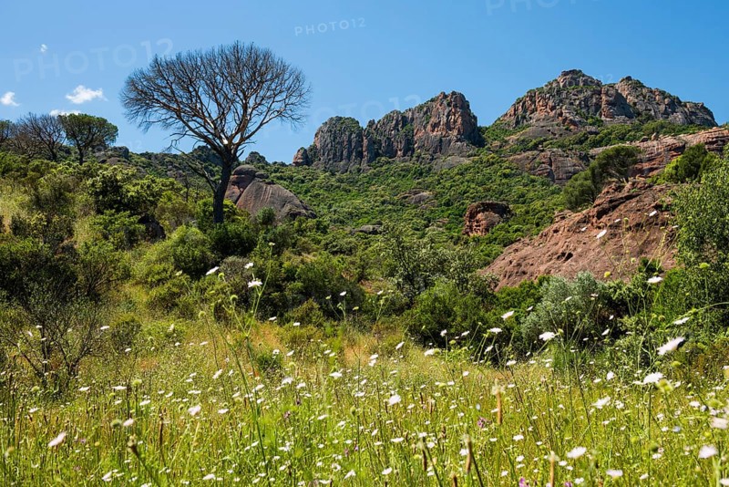 Rocher du roquebrune, Roquebrune-sur-Argens, near Saint-Raphaël, Massif de l'Esterel, Esterel Mountains, Département Var, Cote d'Azur, Provence-Alpes-Côte d'Azur, France