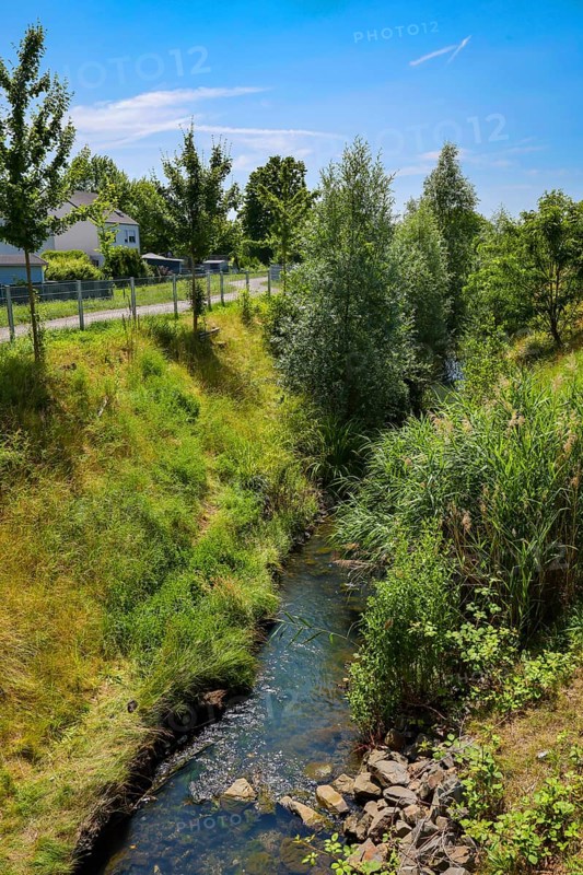 Recklinghausen, North Rhine-Westphalia, Germany - Renaturalised Hellbach, renaturalised watercourse, the Hellbach is now free of wastewater after the construction of a parallel sewer, is part of the Emscher river system and thus part of the Emscher conversion, was previously an open, above-ground wastewater channel, mixed water channel with surface water and wastewater. The renaturalised Hellbach stream strengthens the city's climate resilience, promotes biodiversity and helps to mitigate urban warming caused by climate change