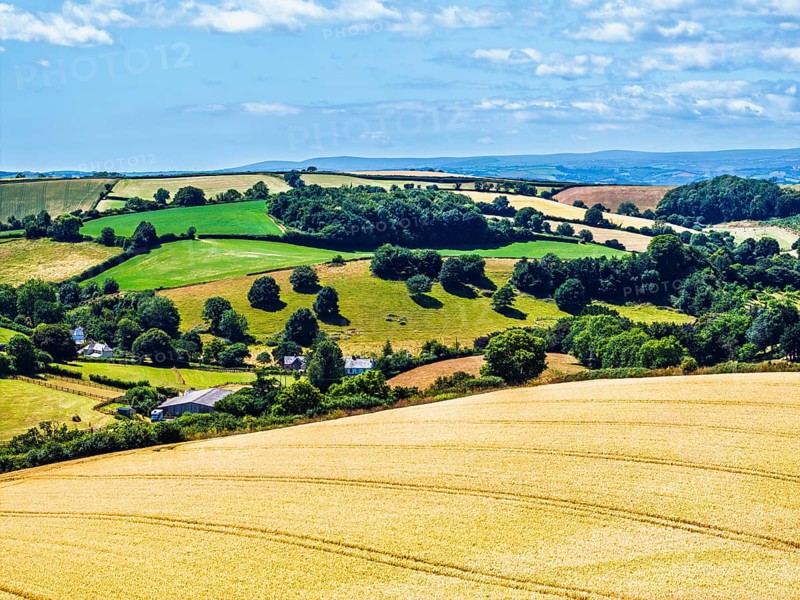 DefaultFarms and Fields over Torquay from a drone, Devon, England, United Kingdom