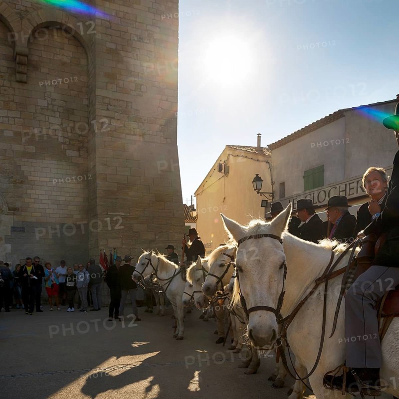 Guardian of the Camargue, rider on Camargue horse in front of the church, sunbeams, pilgrimage, procession in Saintes-Maries-de-la-Mer, Camargue, France