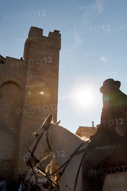 Guardian of the Camargue, rider on Camargue horse in front of the church, sunbeams, backlight, pilgrimage, procession in Saintes-Maries-de-la-Mer, Camargue, France