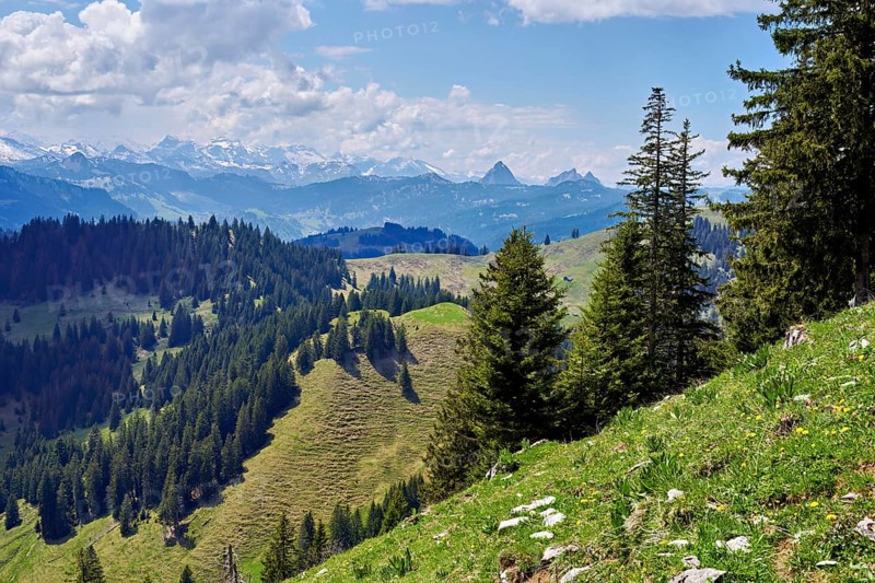 View from the small Aubrig to the small and large Mythen and Alps, Wägital, Canton Schwyz, Switzerland