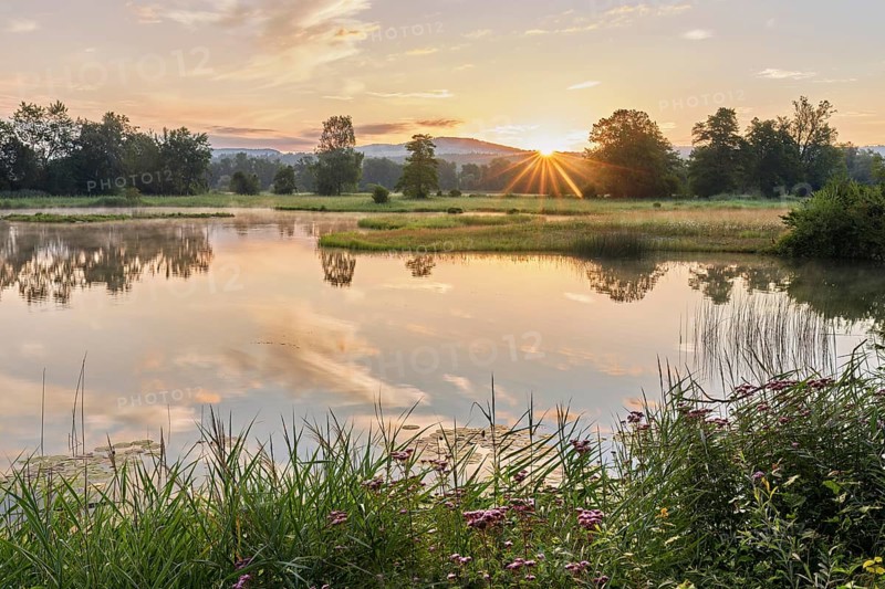 Sunrise at a pond in the Schoren nature reserve, Mühlau, Freiamt, Canton Aargau, Switzerland
