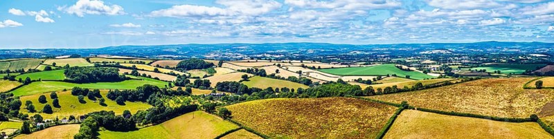 DefaultPanorama of Farms and Fields over Torquay from a drone, Devon, England, United Kingdom