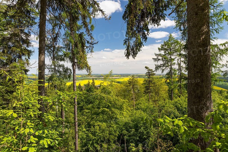 On the porphyry nature trail over the Rochlitz mountain, former panoramic view from the Seidel quarry, historic quarries, Rochlitz, Saxony, Germany