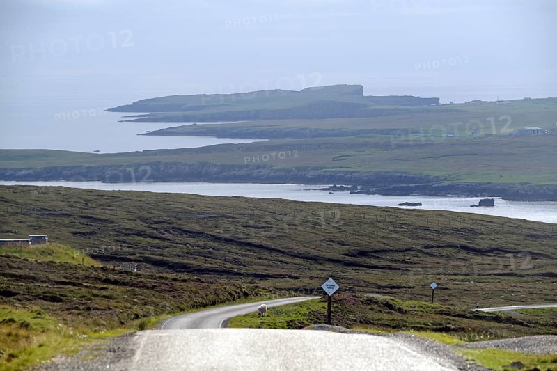 Coastal road winds through rolling countryside with views of the sea and distant islands, Eshaness, Mainland, Shetland Islands, Scotland, United Kingdom