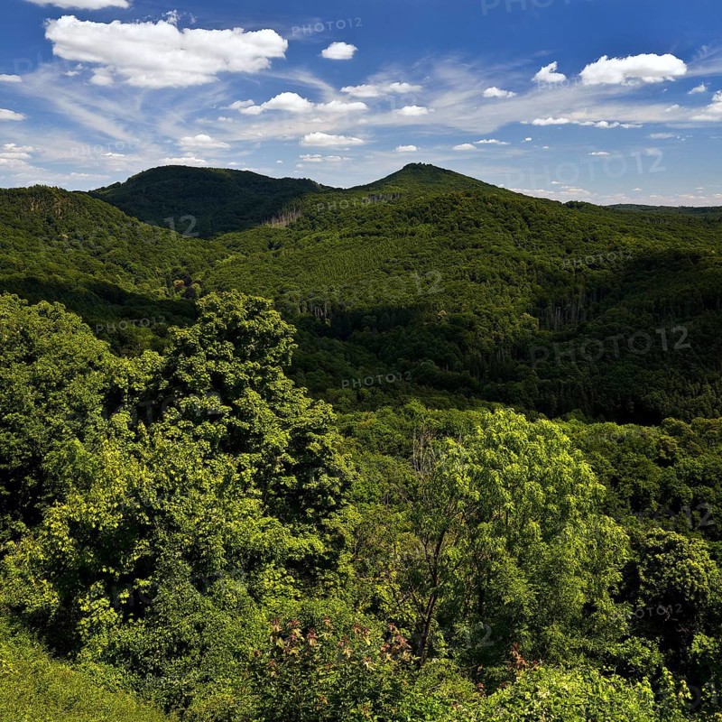Siebengebirge, low mountain range on the right bank of the Rhine, Königswinter, North Rhine-Westphalia, Germany