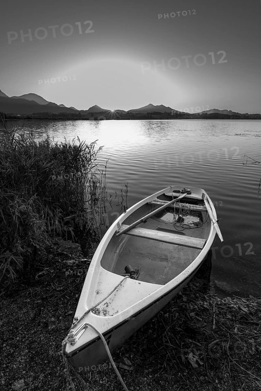 Rowing boat at sunset, Hopfensee, Hopfen am See, near Füssen, Ostallgäu, Allgäu, Bavaria, Germany