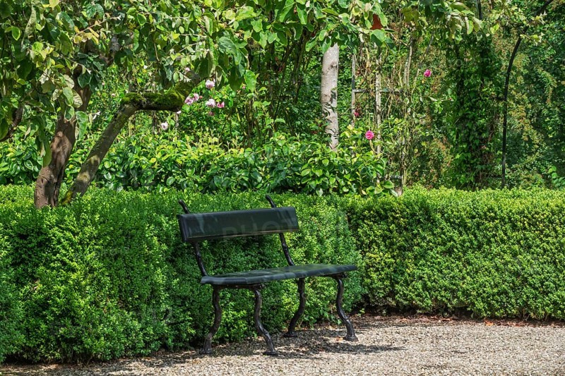 Park bench stands on a gravel path in front of lush green bushes and trees, Borg Verhildersum, Leens, province of Groningen, Netherlands