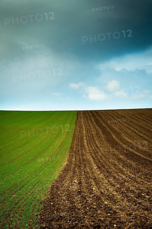 Lush green fields meet freshly plowed brown earth under a swirling sky filled with clouds, Limagne plain, Puy de Dome, Auvergne Rhone Alpes, France