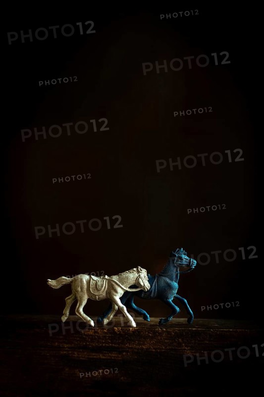 Two toy horses, one white and one blue, gallop side by side against a dark backdrop, capturing a sense of motion and playfulness. Their contrasting colors enhance the visual impact