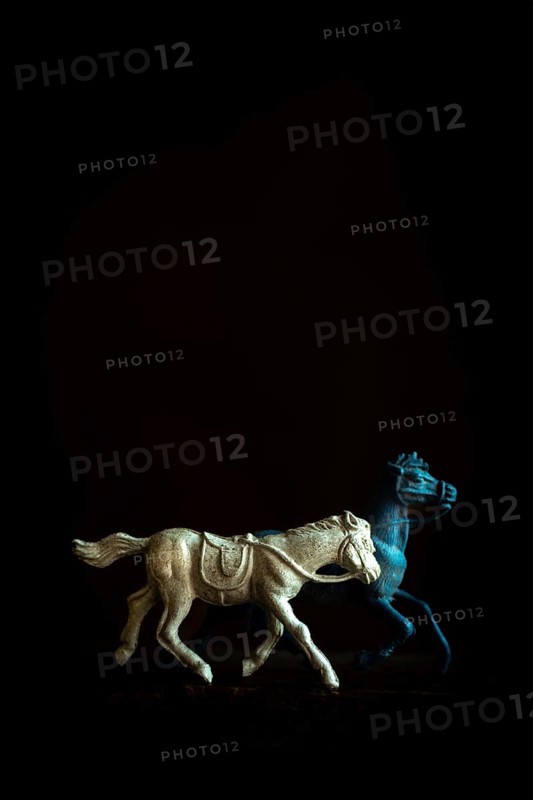 Two toy horses are captured in motion, one galloping energetically while the other walks gracefully. The contrast of colors and dark backdrop enhances the playful scene