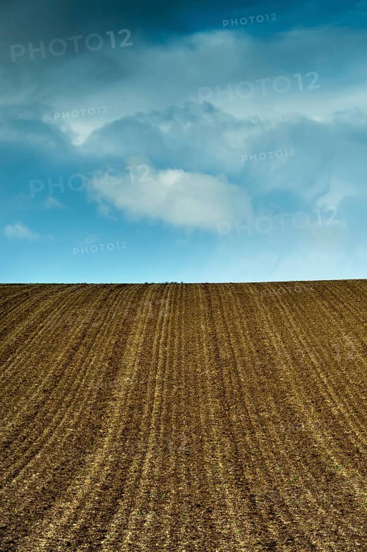 A plowed field displays parallel lines of tilled soil, stretching towards a vast blue sky adorned with fluffy white clouds. Puy de Dome. France