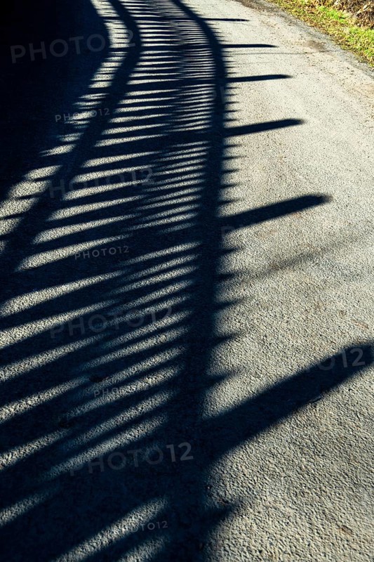 Shadows cast by a fence stretch across a sunlit path, creating an intriguing interplay of light and dark. France