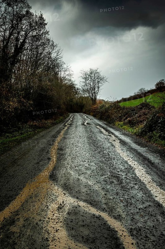 A winding country road stretches through a dense landscape, marked by tire tracks in the wet mud. Dark clouds loom overhead, hinting at a stormy atmosphere, while trees border the path. Auvergne. France