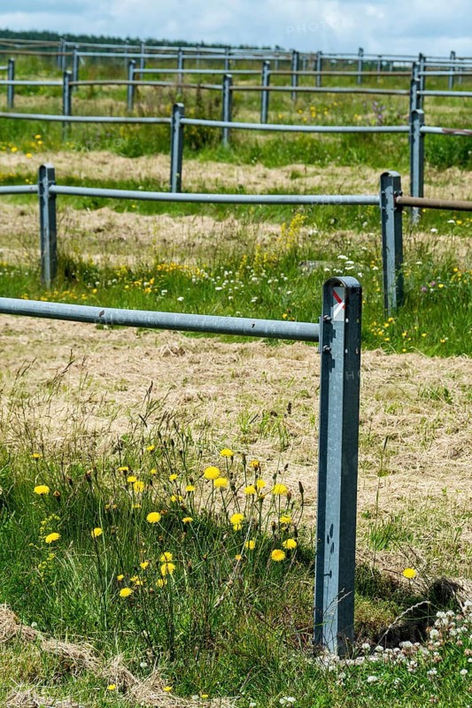 This rural landscape showcases a large open field bordered by blue metal fencing. Puy de Dome, Auvergne, France