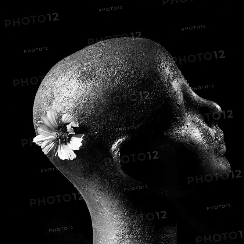 A sculpted head features an abstract form and textured surface, with a delicate flower delicately positioned behind the ear, contrasting beautifully against a dark background