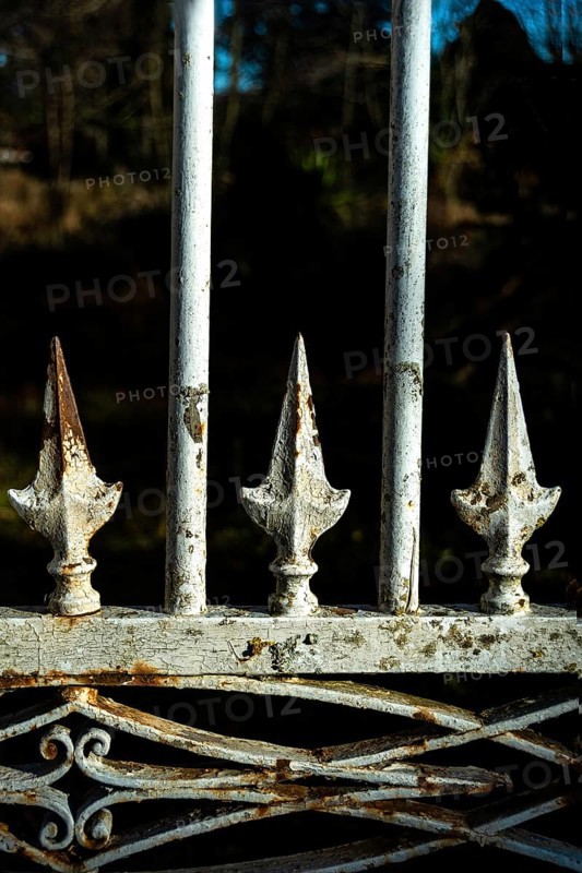 A close view of a vintage iron gate featuring decorative spikes, showcasing rust and wear over time. The backdrop reveals a tranquil environment with soft lighting. France