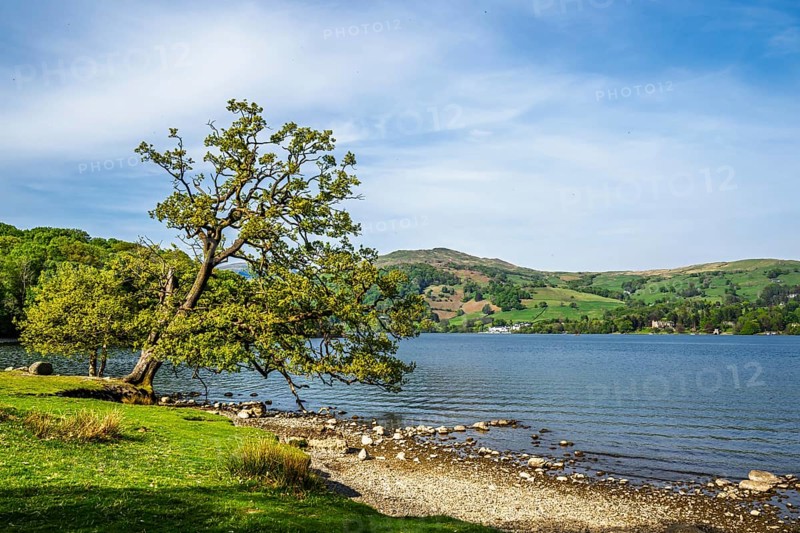 Lake Windermere, Wray Castle, Ambleside, Lake District, Cumbria, England, United Kingdom