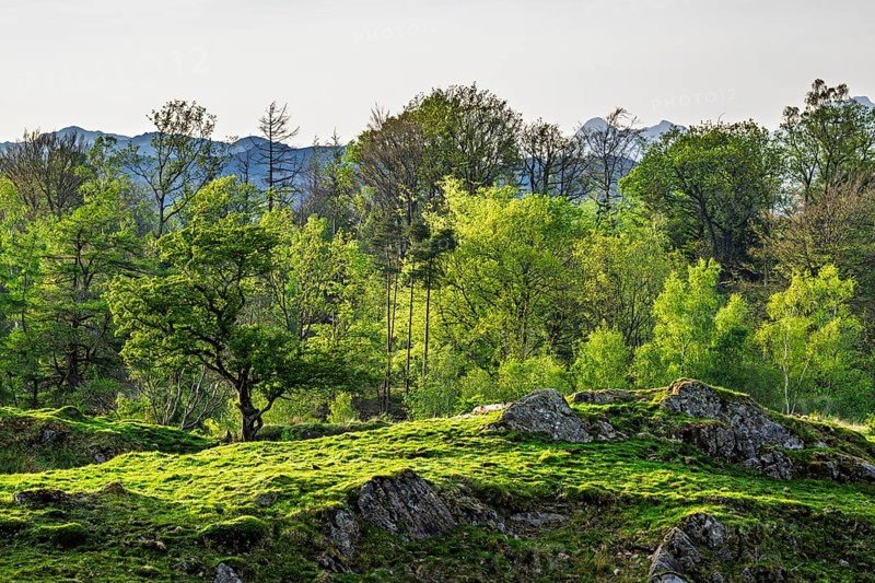 Mountains in Lake District National Park over Coniston Water, Cumbria, England, United Kingdom