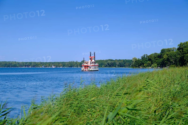 Paddle steamer Queen Arendsee on the Arendsee, Altmark, Saxony-Anhalt, Germany
