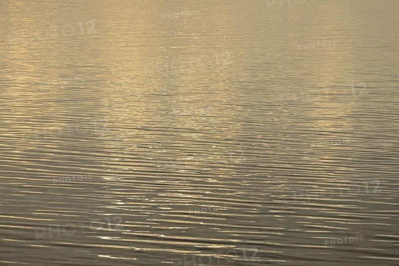 Light reflections on the wavy water surface, North Sea, Norddeich, Lower Saxony, Germany