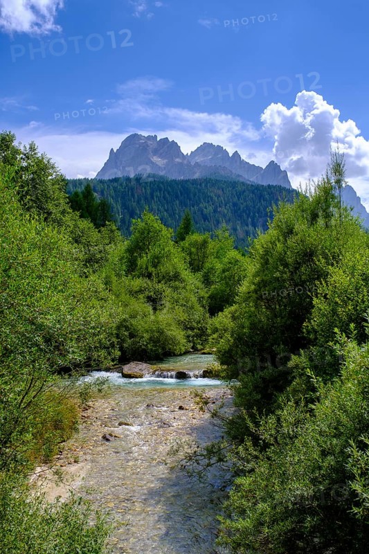 Fischleinbach in Val Fiscalina, Bad moss near Sesto, Dolomites, Val Pusteria, South Tyrol, Italy