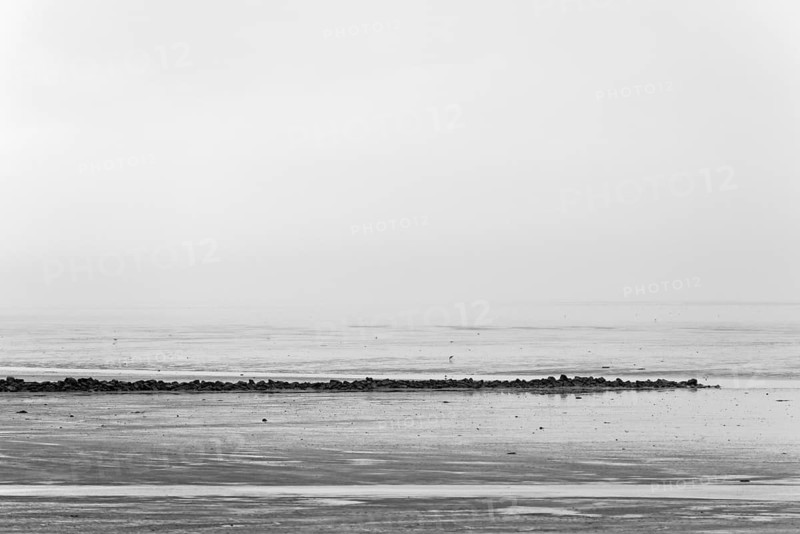 North Sea coast, cloudy winter day, Wadden Sea at low tide, stone groyne as coastal protection, North Sea, Norddeich, Lower Saxony, Germany