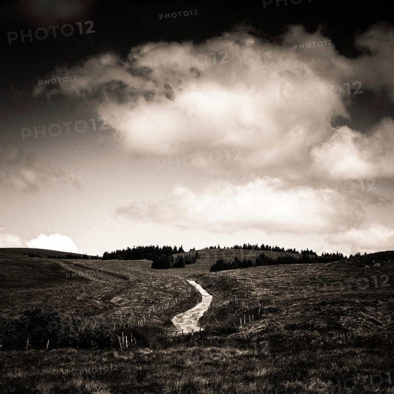 A winding path cuts through an expansive field leading toward a distant forested hill. Auvergne Volacanoes Natural Park. Puy de Dome. Auvergne. France