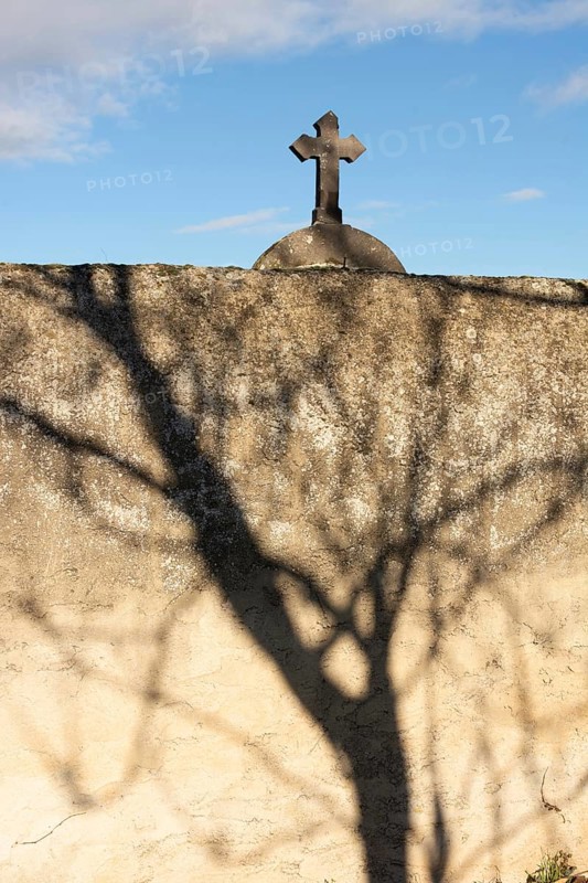 A striking shadow of a tree stretches across a weathered stone wall, while a cross is visible atop the wall against the backdrop of a cemetery. France