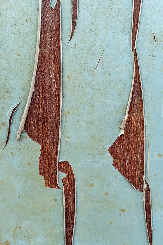 This close-up view showcases the intricate details of peeling paint, exposing the rich wood texture beneath. The contrasting colors create an interesting visual dynamic