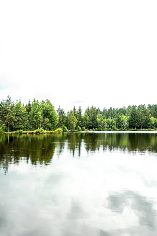 A peaceful lakeside scene showcases vibrant green trees surrounding a serene body of water. Puy de Dome. Auvergne Rhone Alpes. France