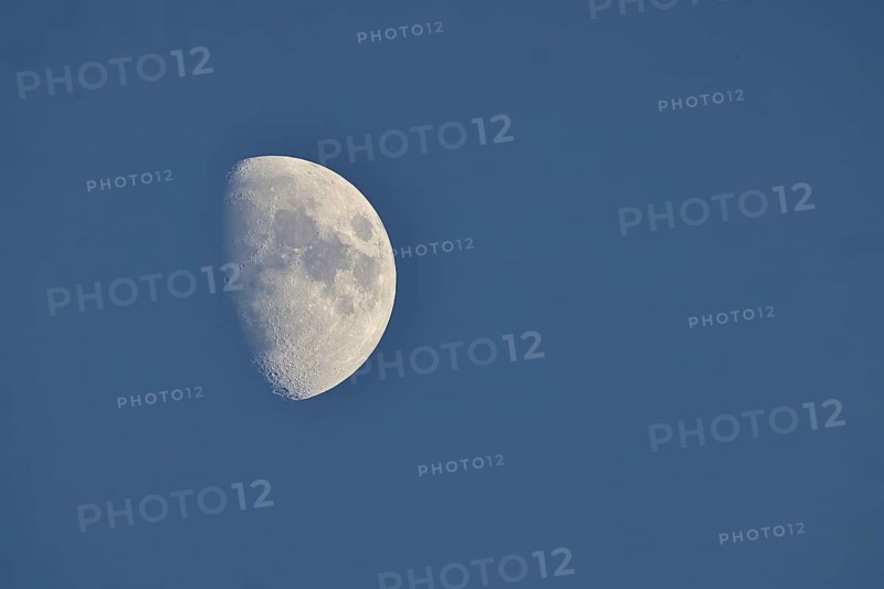 Moon (Luna), half moon in front of blue sky, waxing moon, Wilnsdorf, North Rhine-Westphalia, Germany