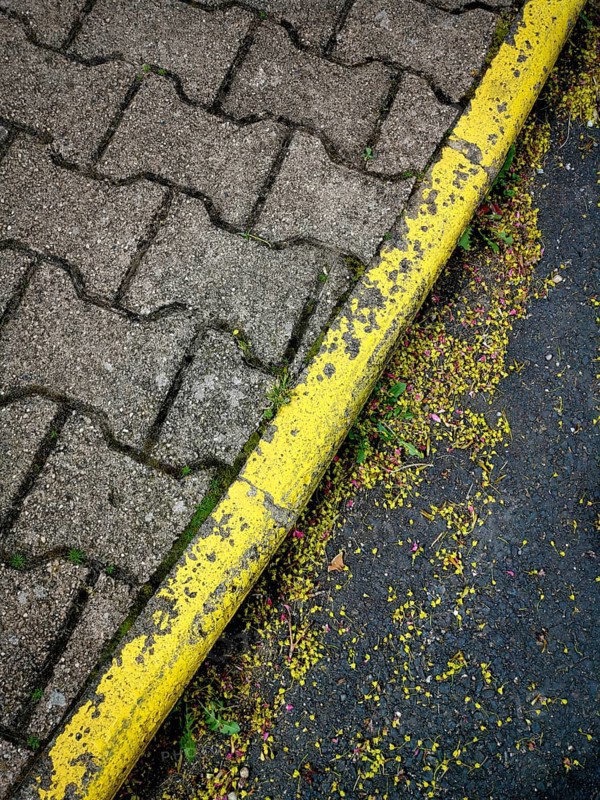 A detailed view of a worn yellow-painted curb next to a cobblestone path, surrounded by scattered flower petals and debris, showcasing urban nature's beauty and wear